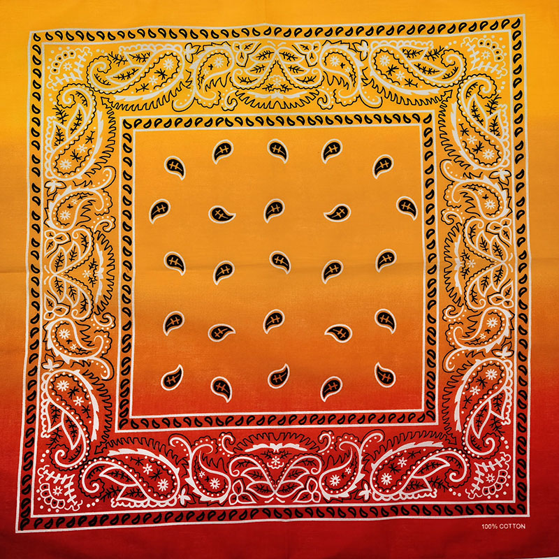 Fashion Unisex Black Paisley H - Bandana Blank White avaliação e preço